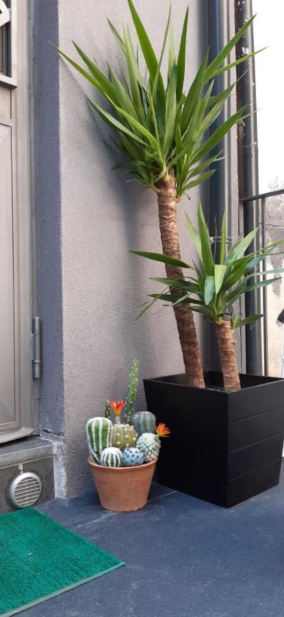 Apartamento Terra Mia Catânia
